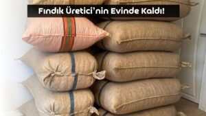 Satılmayan Fındık Üreticinin Evinde Kaldı!