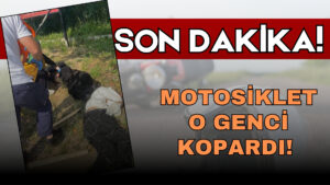 SON DAKİKA! Ünye’de Şok Kaza! 1 Ölü!
