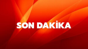 Ceviz Ağacı Kazası: Akkuş Şokta!