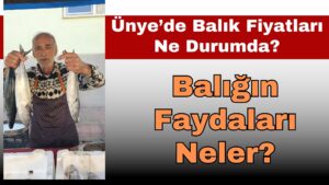 ÜNYE’DE GÜNCEL BALIK FİYATLARI!