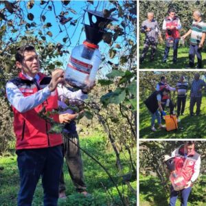 Ordu’da Kahverengi Kokarcalara Karşı Mücadele Devam Ediyor