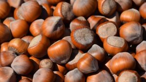 Fındık Fiyatlarında Dalgalanma: Üreticiler Endişeli