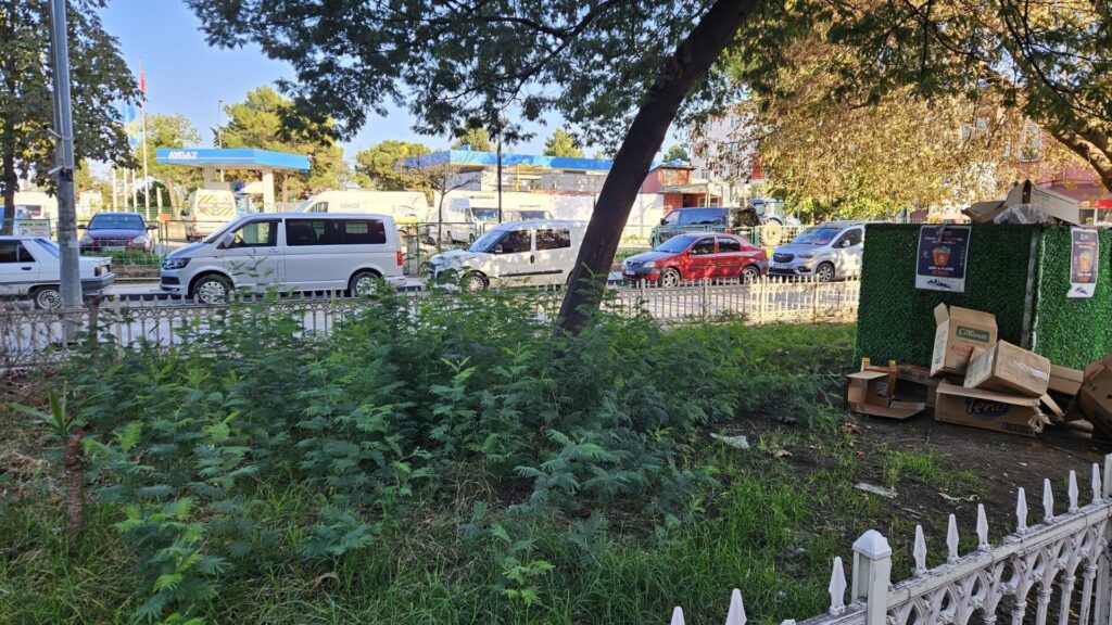 Ünye’de “Ormana” Dönen Alan Tepki Çekti!