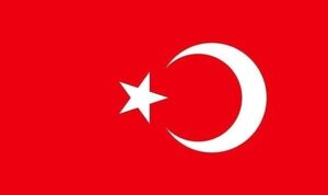 Ters Türk Bayrağı Ne Anlama Gelir?