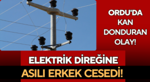 Ordu’da Kan Donduran Olay! Acı Ölüm!