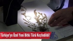 Türkiye’ye Özel Yeni Bitki Türü Keşfedildi!