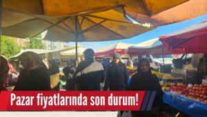 Ünye Çarşamba Pazarında Fiyatlar ne durumda?