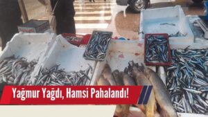 Yağmur Yağdı, Hamsi Pahalandı!