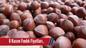 Fındık Bugün Kaç Lira? Düşüş Devam Edecek Mi?