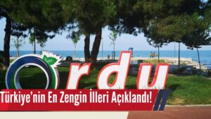 Türkiye’nin En Zengin İlleri Açıklandı! Ordu Kaçıncı Sırada?