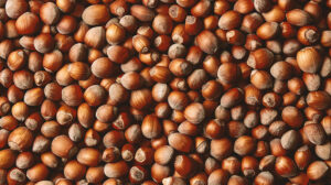 FİSKOBİRLİK, Fındık Alım Fiyatını Artırdı!