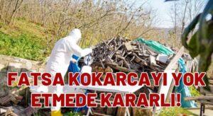 FATSA KOKARCA’YI YOK ETMEDE KARARLI!