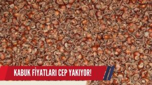 Fındık Kabuklarının Fiyatı El Yakıyor: 1 Çuval 200 TL