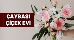 Ordu Çaybaşı Çiçekçi telefon numarası ne? 0452 391 Çaybaşı Çiçek Evi Sipariş Nasıl Verilir?