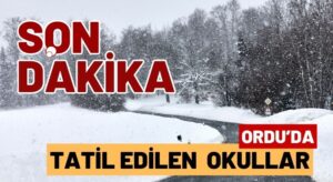 19 Şubat 2025 Kar Sert Gelecek! Ordu’da Tatil Edilen Okullar Açıklandı! Hangi okullar tatil?