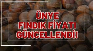 Ünye’de Fındık Kaç TL? Ünye Fındık Fiyatı 15 Nisan 2025 Ordu Giresun Trabzon fiyatları