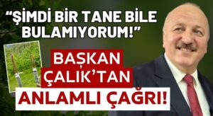 Başkan Çalık’tan Anlamlı Çağrı! Şimdi Bir Tane Bile Bulamıyorum, Koruyalım!