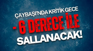 Çaybaşı’nda Fındık Yandı! Zirai Don Bu Gece Vuracak!
