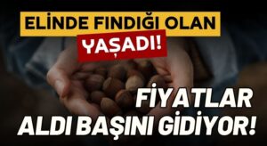 Fiyat 200 TL’ye Dayandı! Sizde Fındık Var mı?