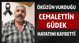 Öküzün Saldırısına Uğrayan Cemalettin Güdek Hayatını Kaybetti