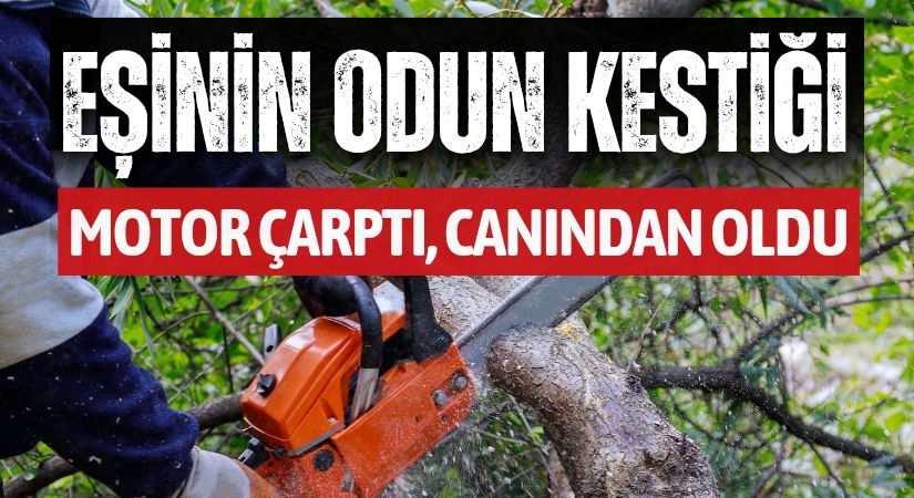 Bahçede Odun Keserken Facia! Yaşlı Kadın Hayatını Kaybetti!