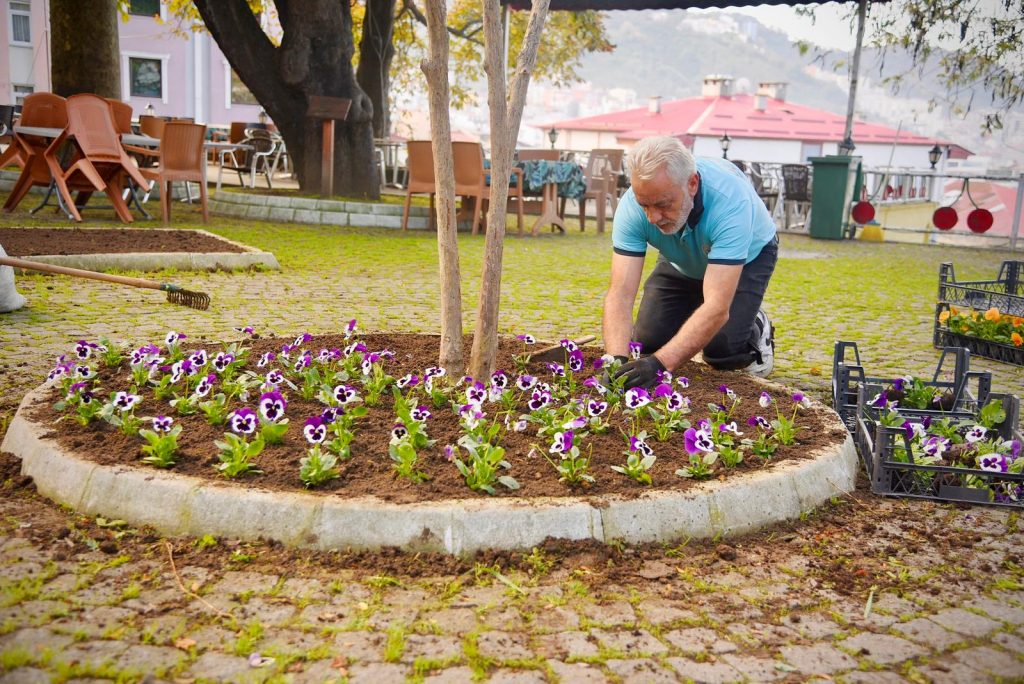 Giresun’da Şehir Renkleniyor: Belediyeden Çevreci Çalışma