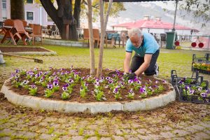 Giresun’da Şehir Renkleniyor: Belediyeden Çevreci Çalışma