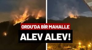 Ordu’da Yine Orman Yangını! Ekipler Müdahale Ediyor!