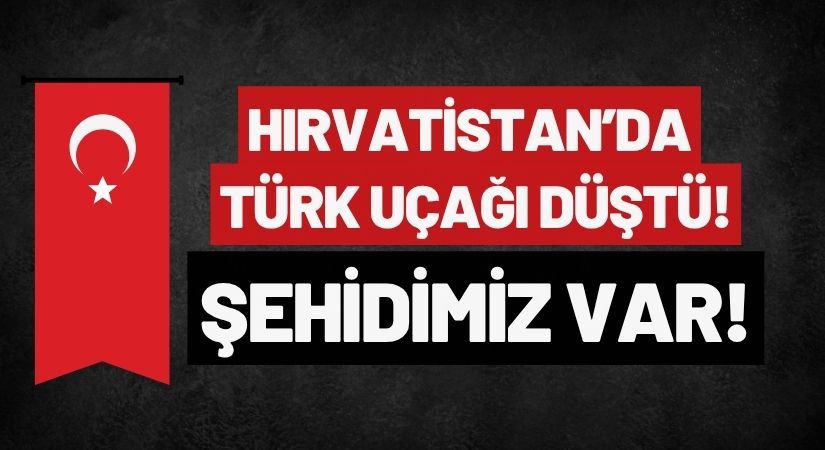 Bakan Açıkladı: Uçağımız Düştü Pilotumuz Şehit Oldu!