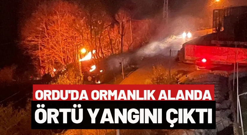 Ordu’da Ormanlık Alanda Örtü Yangını Çıktı