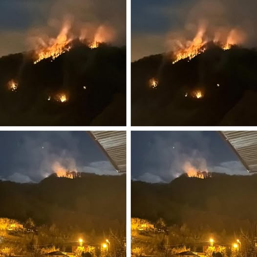 Ordu'da Yine Orman Yangını! Ekipler Müdahale Ediyor! 1 orman yabngi