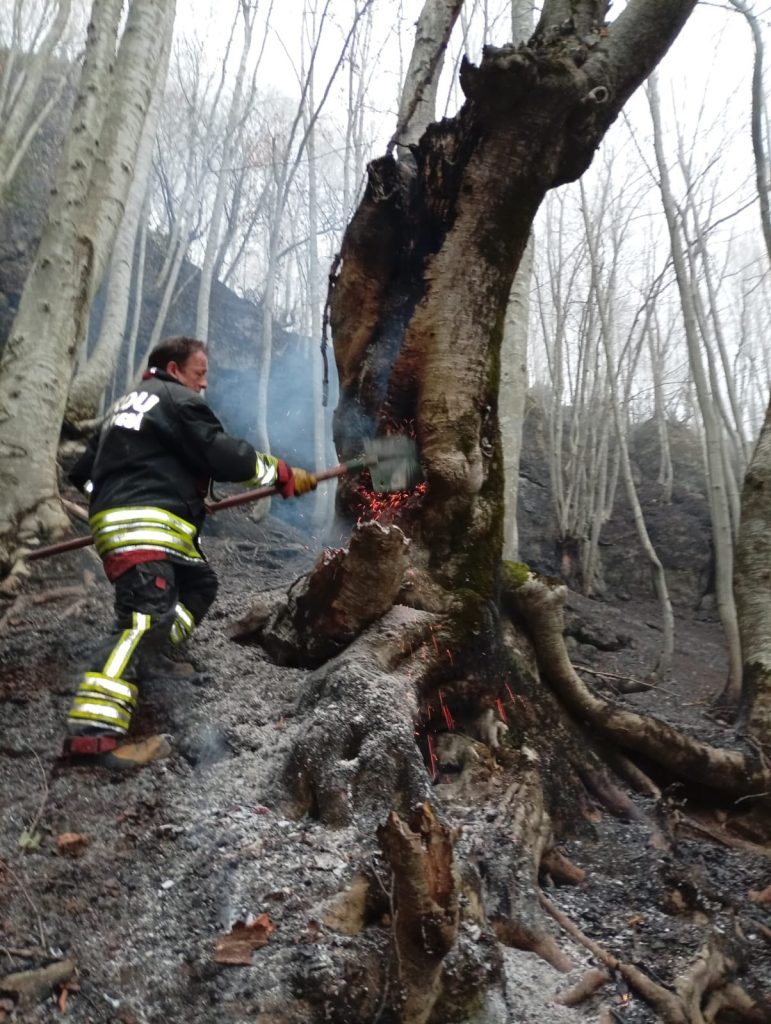 Ordu'da Yine Orman Yangını! Ekipler Müdahale Ediyor! 2 yangin ordu ormasn