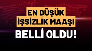 En düşük işsizlik maaşı belli oldu: 13.212 TL