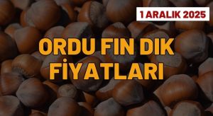 Aralık Ayının İlk Gününde Fındık Fiyatları Sabit Kaldı 1 Aralık Ordu Fındık Fiyatları