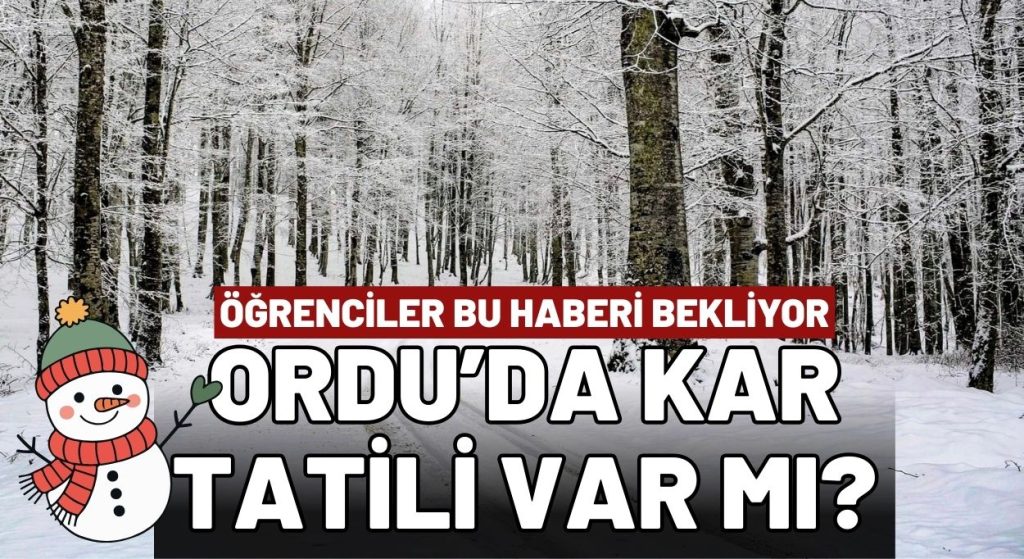 SON DAKİKA GÜNCEL: VALİLİKTEN AÇIKLAMA GELDİ Mİ? 17 Aralık 2025 Ordu’da Okullar Tatil mi? İşte detaylar…