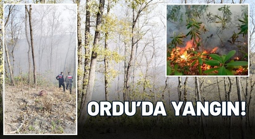 Ordu’da Yine Yangın! Ekipler Rüzgar ve Zamanla Yarışıyor