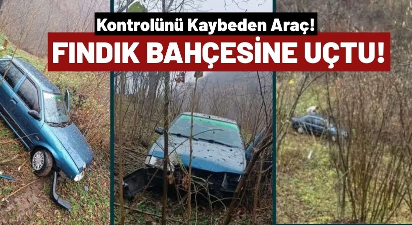 Ordu’da Otomobil Fındık Bahçesine Uçtu: 2 Yaralı