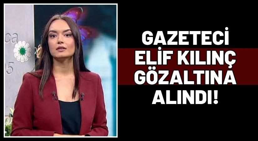 Gazeteci Elif Kılınç neden gözaltına alındı? Elif Kılınç kimdir, nereli?