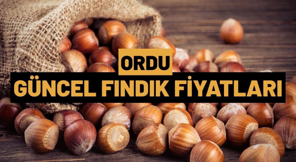 Ordu Fındık Fiyatı 13 Şubat 2026: Fiyat 200 TL’ye kadar indi