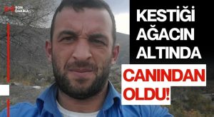 Ordulu Tahsin Albayrak Hayatını Kaybetti: Trabzon’da Ağaç Kesimi Faciası!