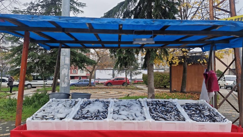 unye balik fiyatlari hamsi istavrit