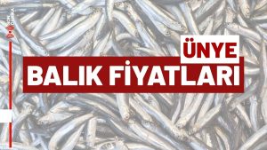 Ünye’de Balık Fiyatları Hamsi İstavrit Somon 26 Aralık 2025