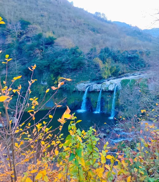 595265926 25547626458203992 6090513445695368870 n