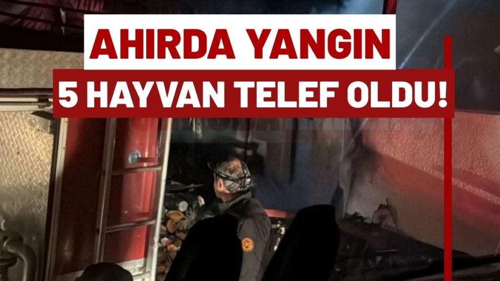 Korgan’da Yürek Yakan Yangın: Alevlere Teslim Olan Ahırda 5 Hayvan Telef Oldu!