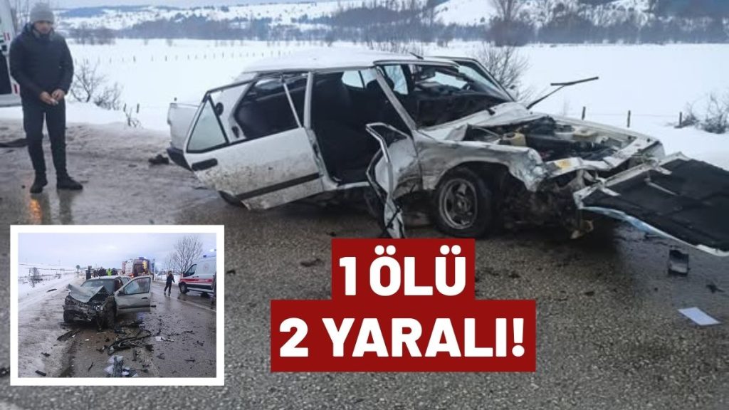 Seydiler’de Korkunç Kaza: 1 Kişi Hayatını Kaybetti, 2 Yaralı