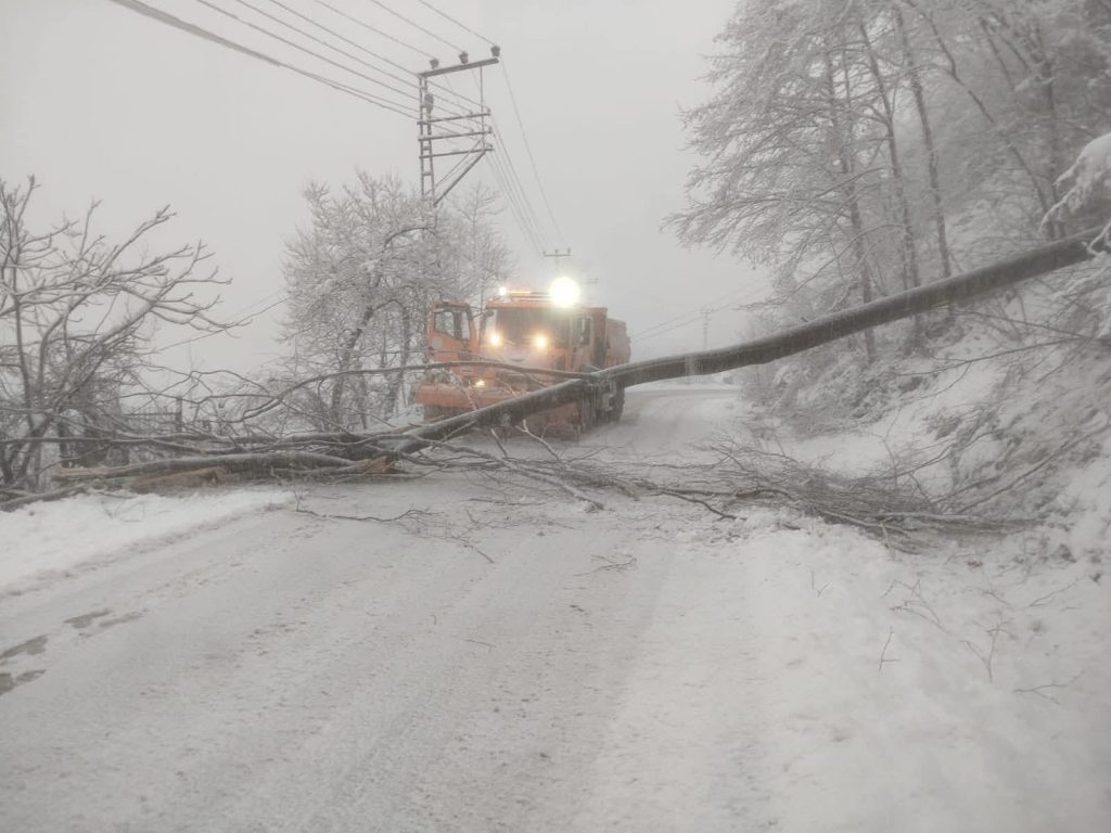 Fatsa–Aybastı Yolunda Ağaç Devrildi 1 agac5848