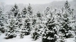 Sakarya’da Yarın Okullar Tatil mi? (13 Ocak 2026 Salı)