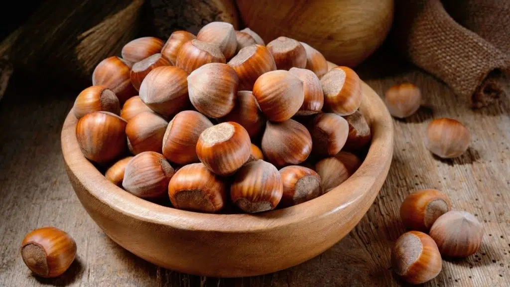 findik fiyati 2026 belli