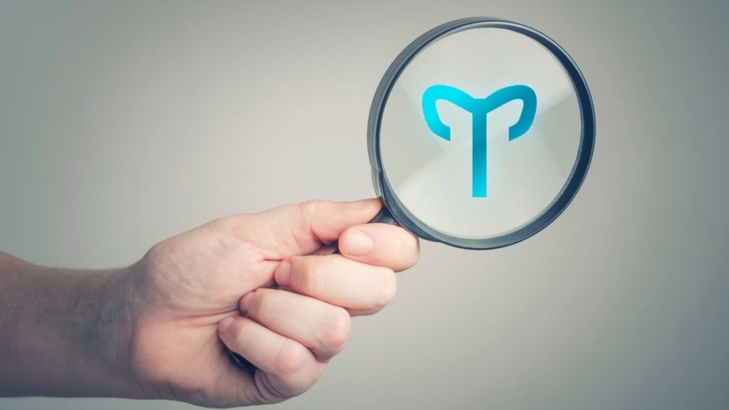 koc erkegi ozellikler8794