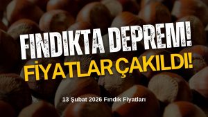 Bu Gidişle 200 TL! Ünye’de Fındık Fiyatları 13 Şubat 2026